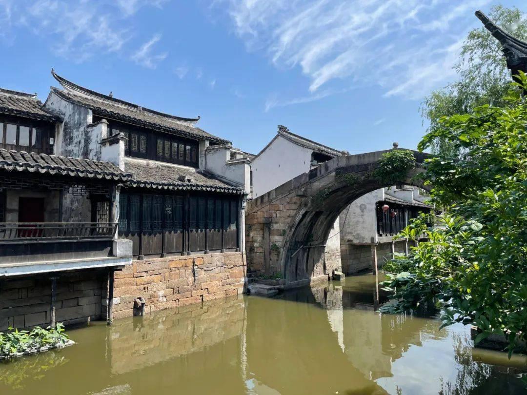 动物帮帮忙保卫家园